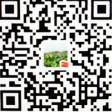 掃描關(guān)注網(wǎng)站建設(shè)微信公眾賬號(hào)